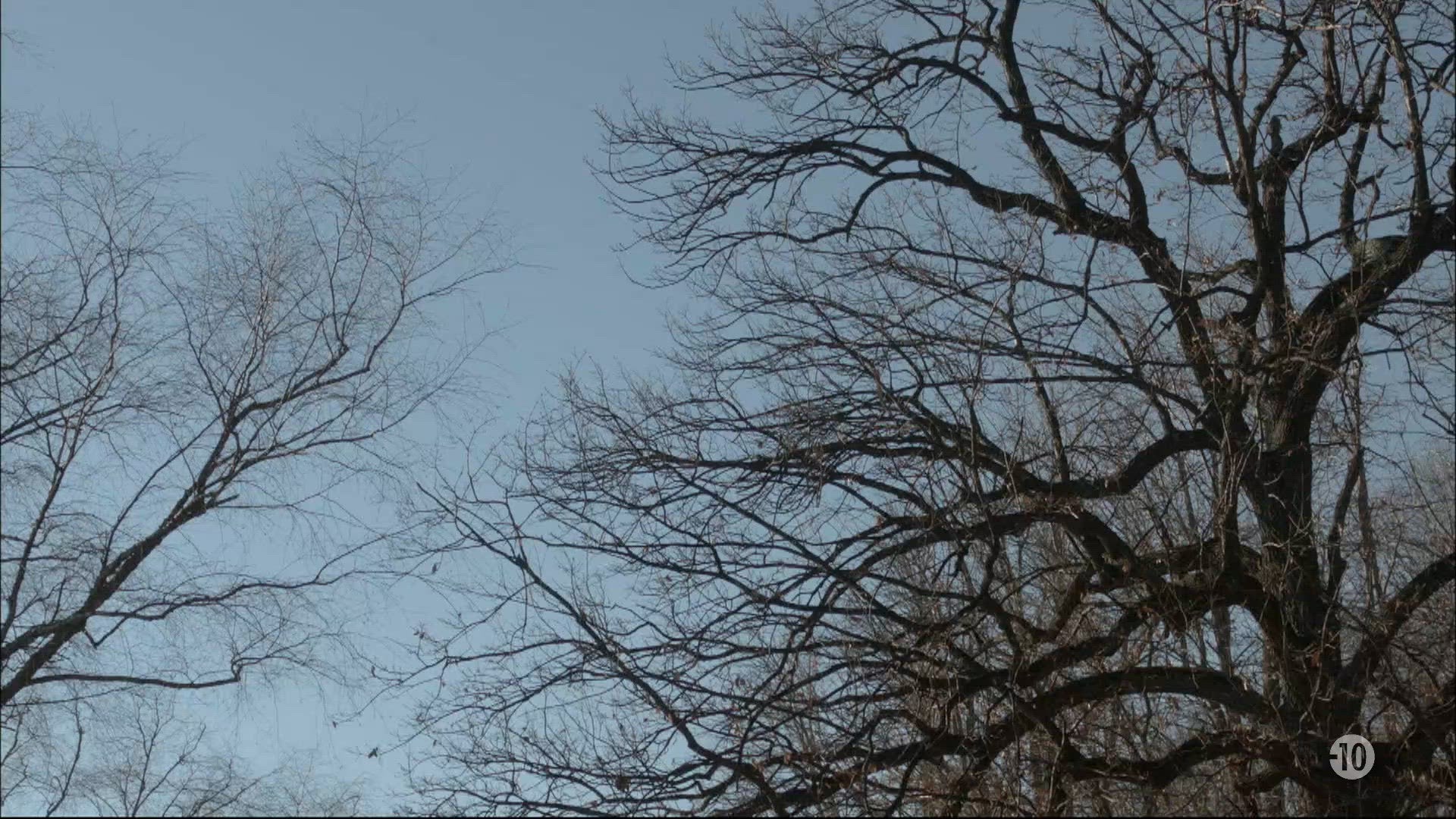 S1 E6 - Trahison