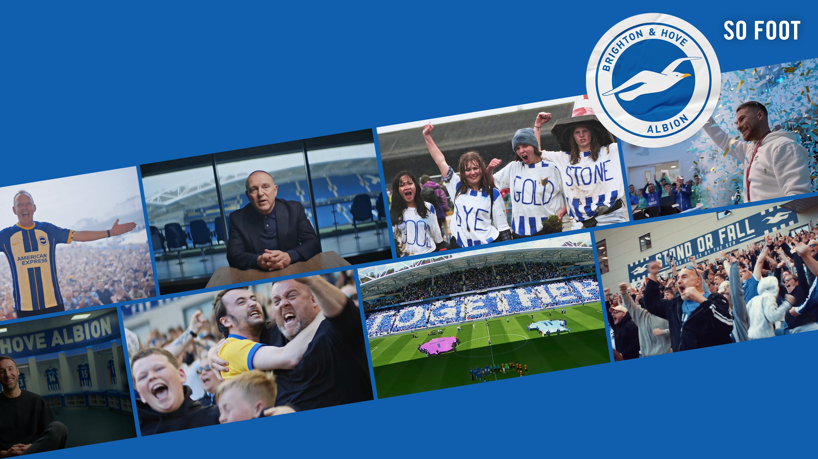 Brighton & Hove Albion FC : la montée incroyable