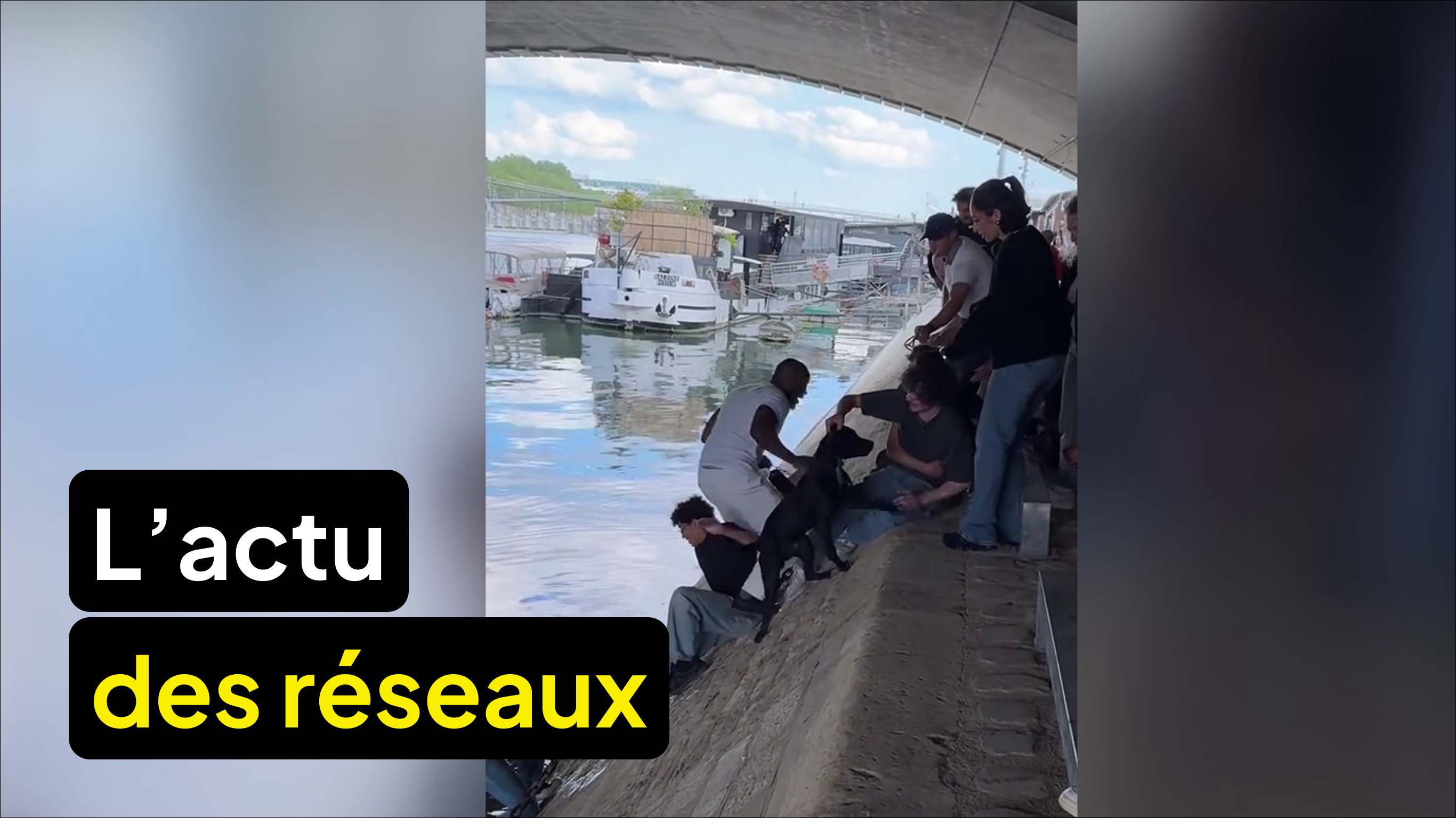 L’actu des réseaux du dimanche 10 mai
