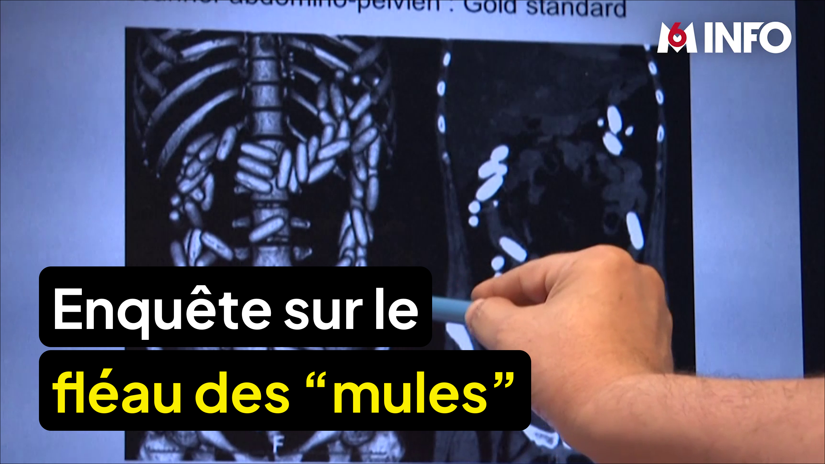 Enquête sur le fléau des "mules", ces passeurs de drogue