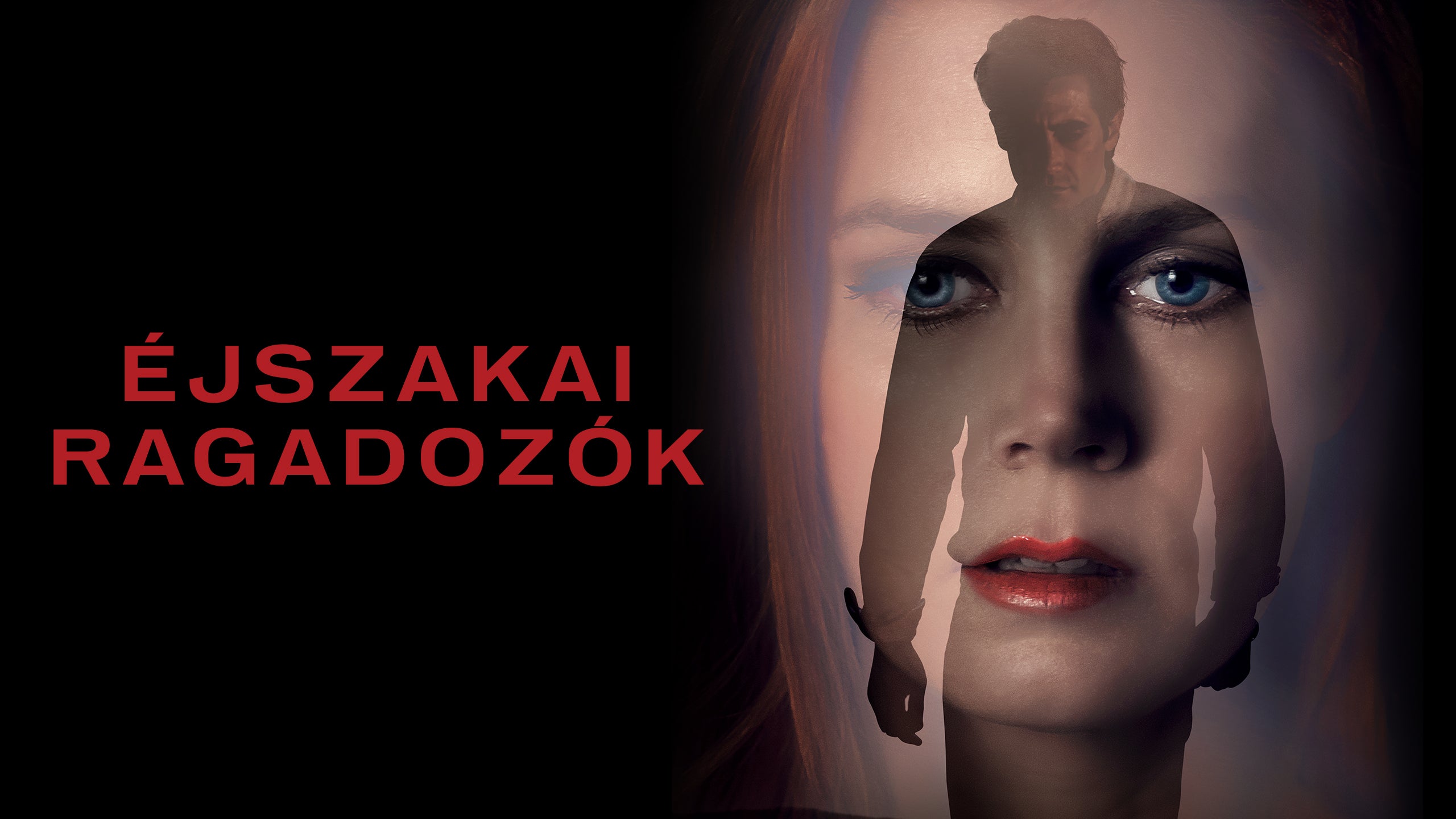 Éjszakai ragadozók