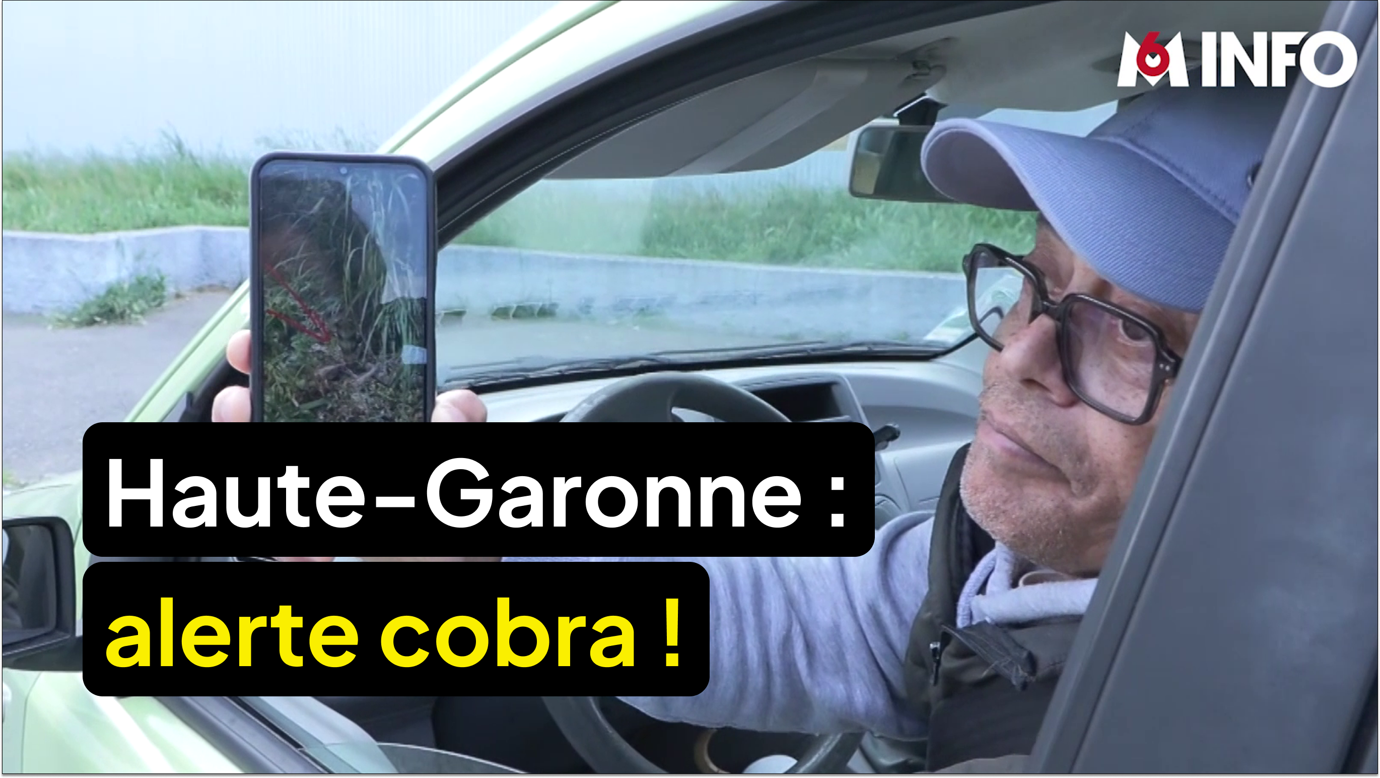 Haute-Garonne : un cobra dangereux activement recherché