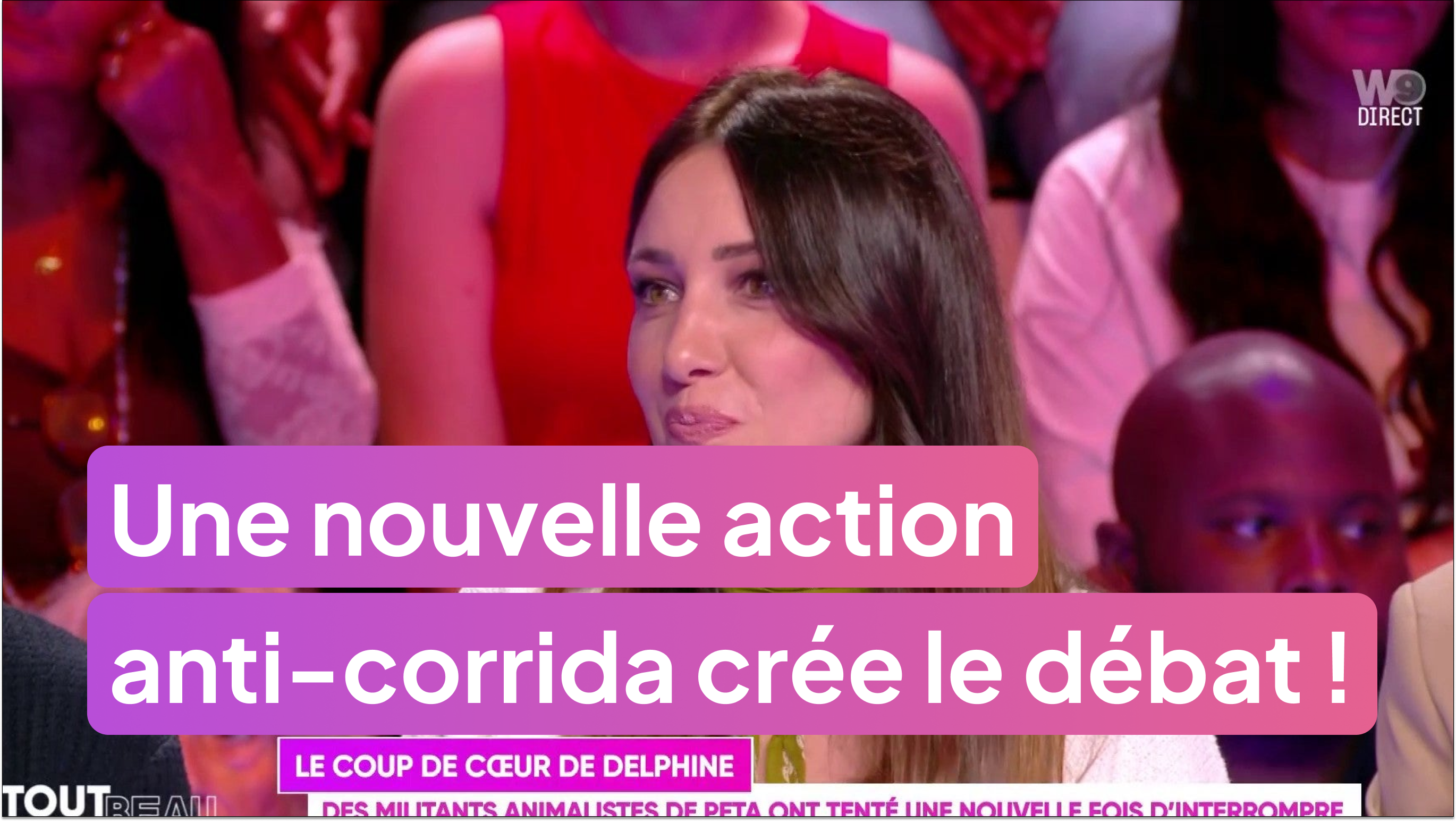 Une nouvelle action anti-corrida crée le débat !