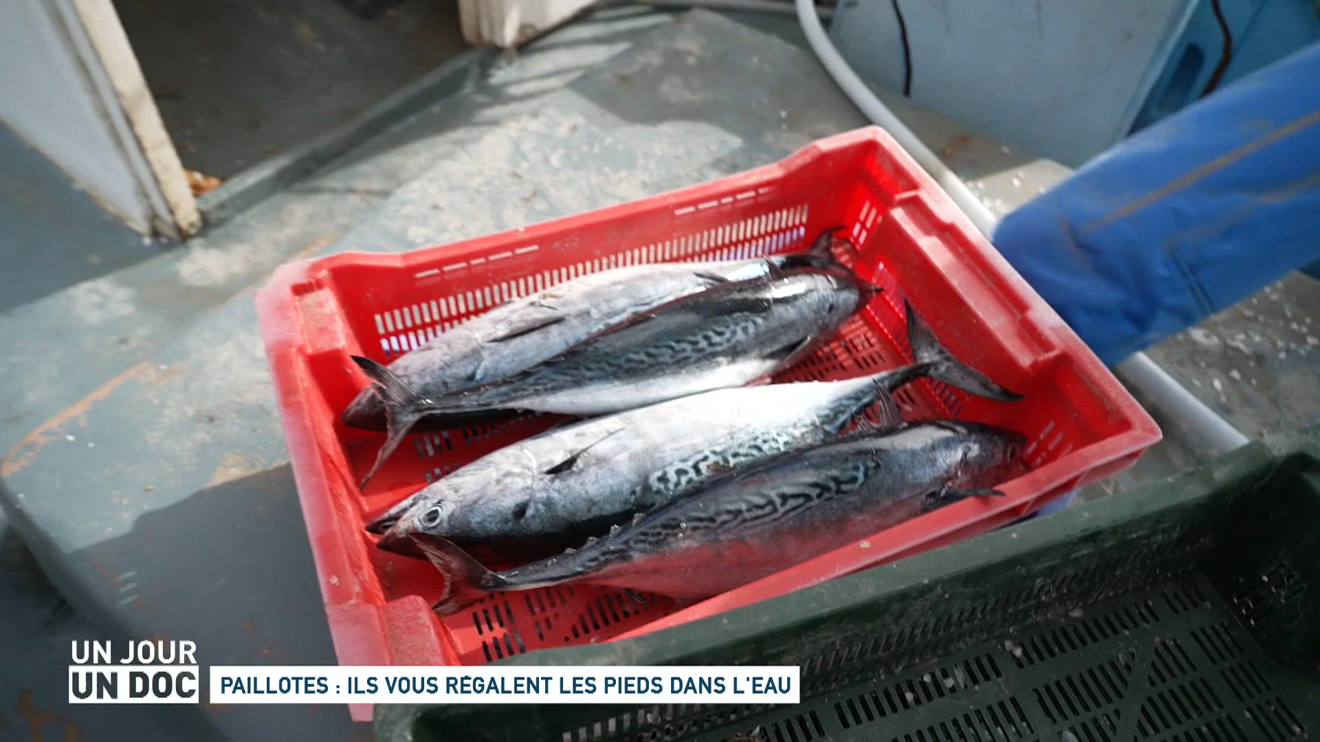Paillotes : ils vous régalent les pieds dans l'eau