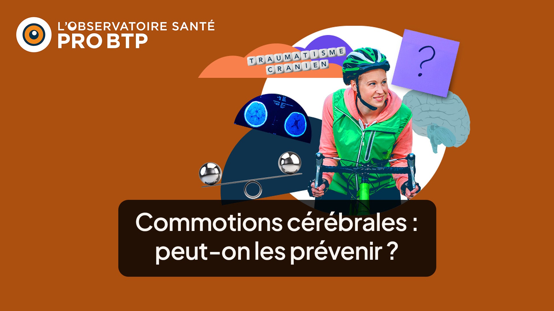 ProgramLink - vignette - 10383