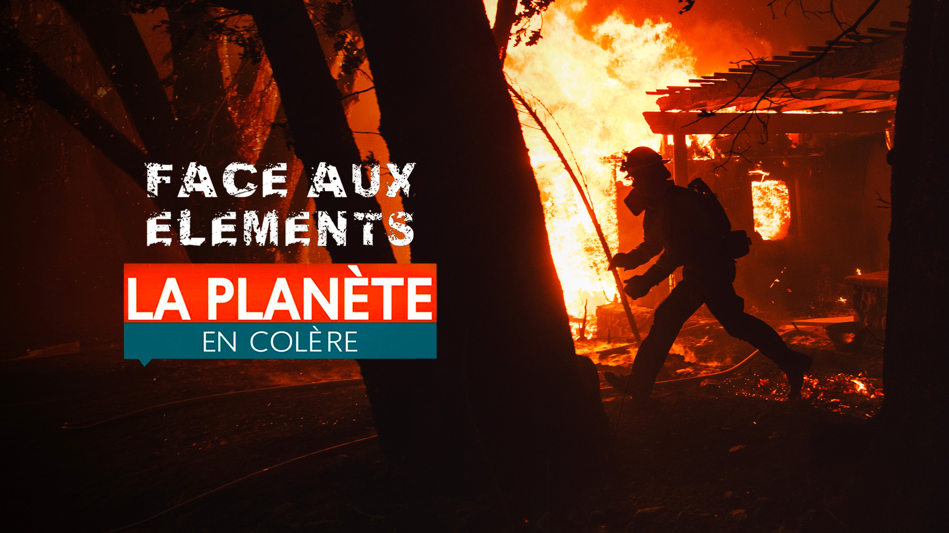 Face aux éléments