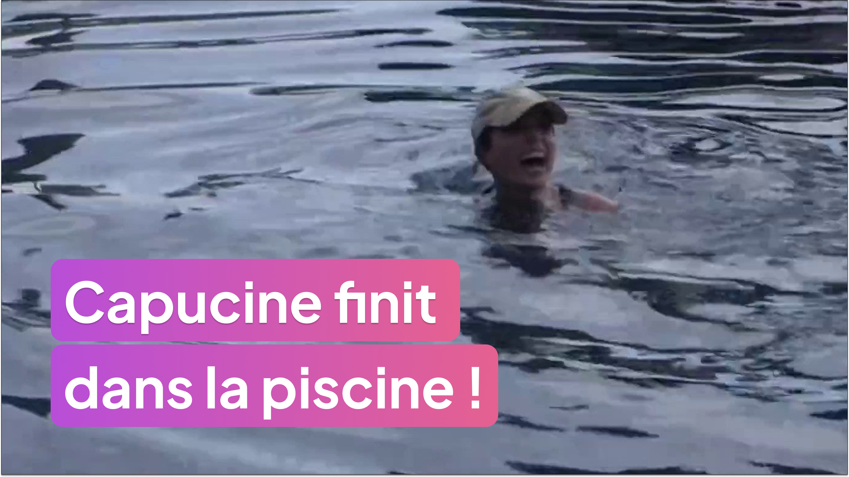 Capucine finit dans la piscine !