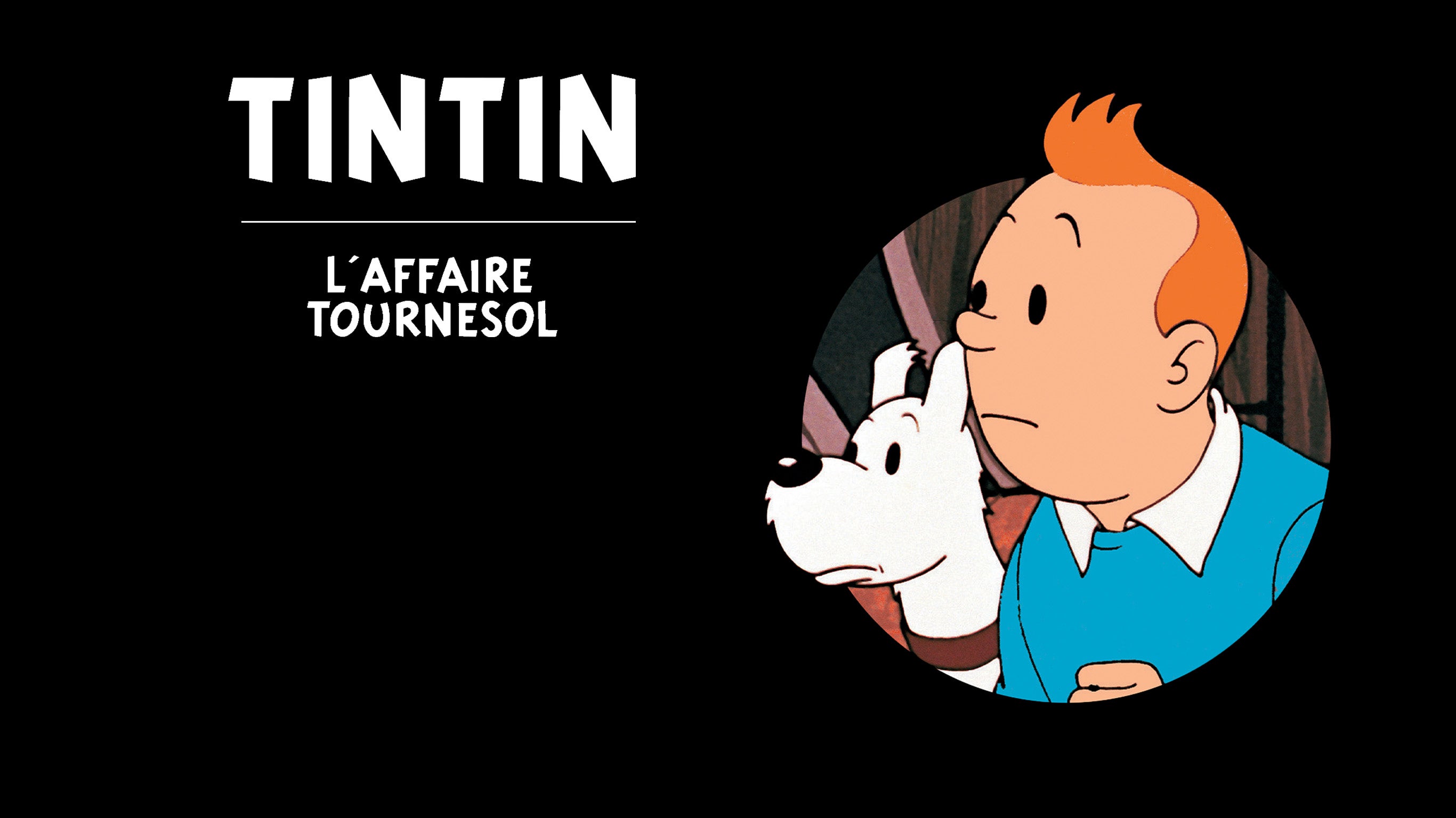 Tintin et l'affaire Tournesol