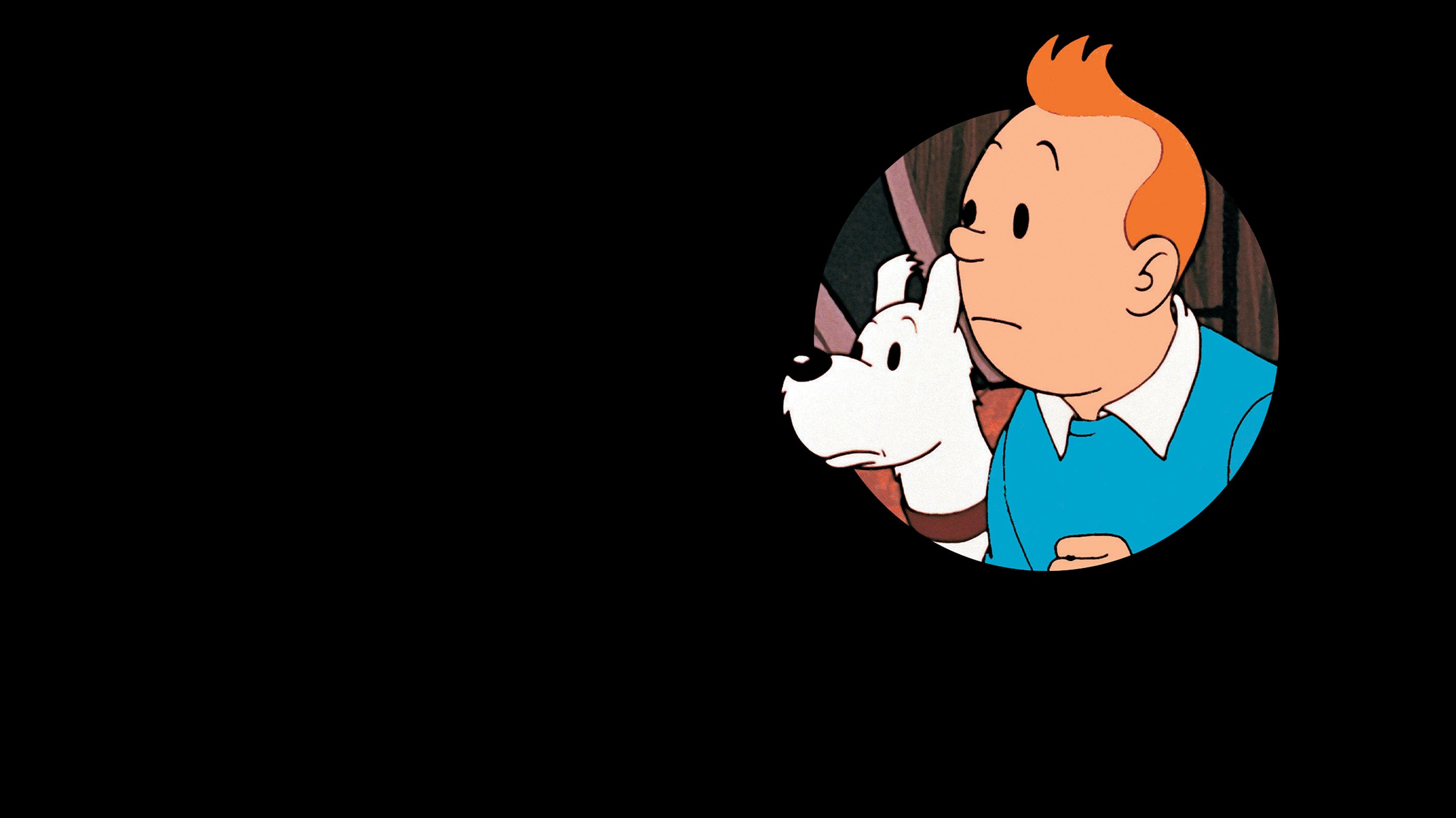 Tintin et l'affaire Tournesol