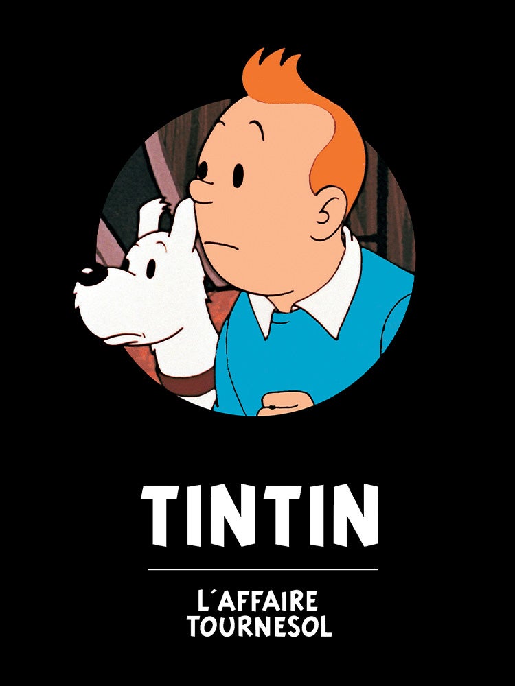 Tintin et l'affaire Tournesol