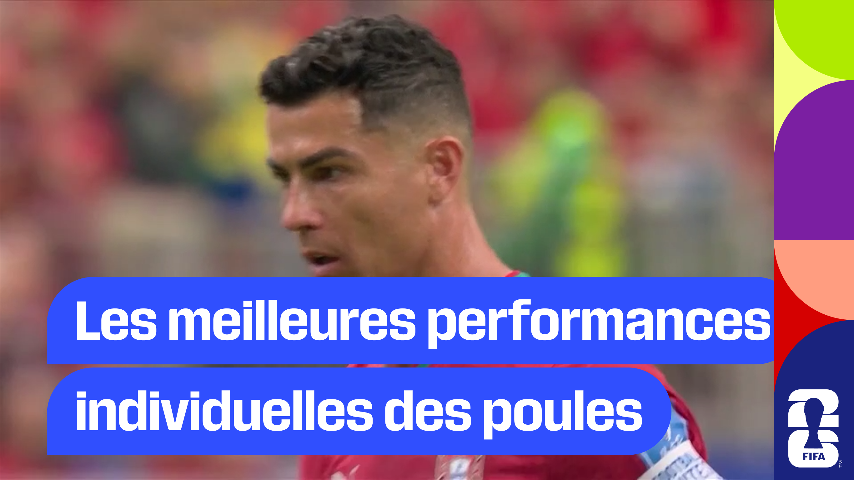 Les meilleures performances individuelles des poules