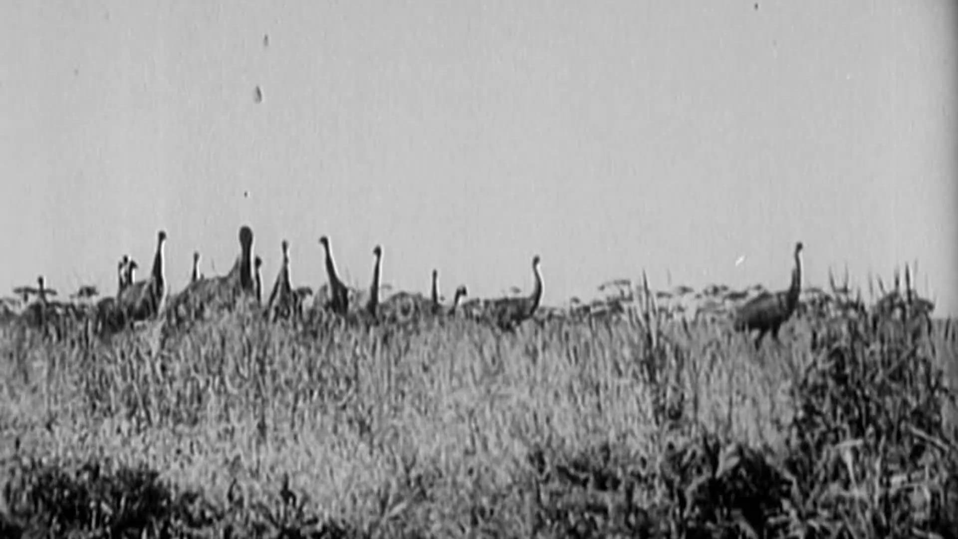 3. rész - Sokkoló küldetések