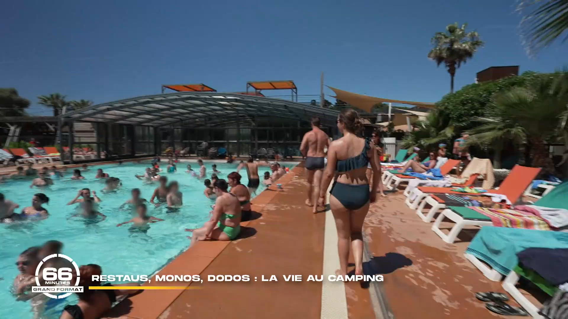 Restaus, monos, dodos : la vie au camping