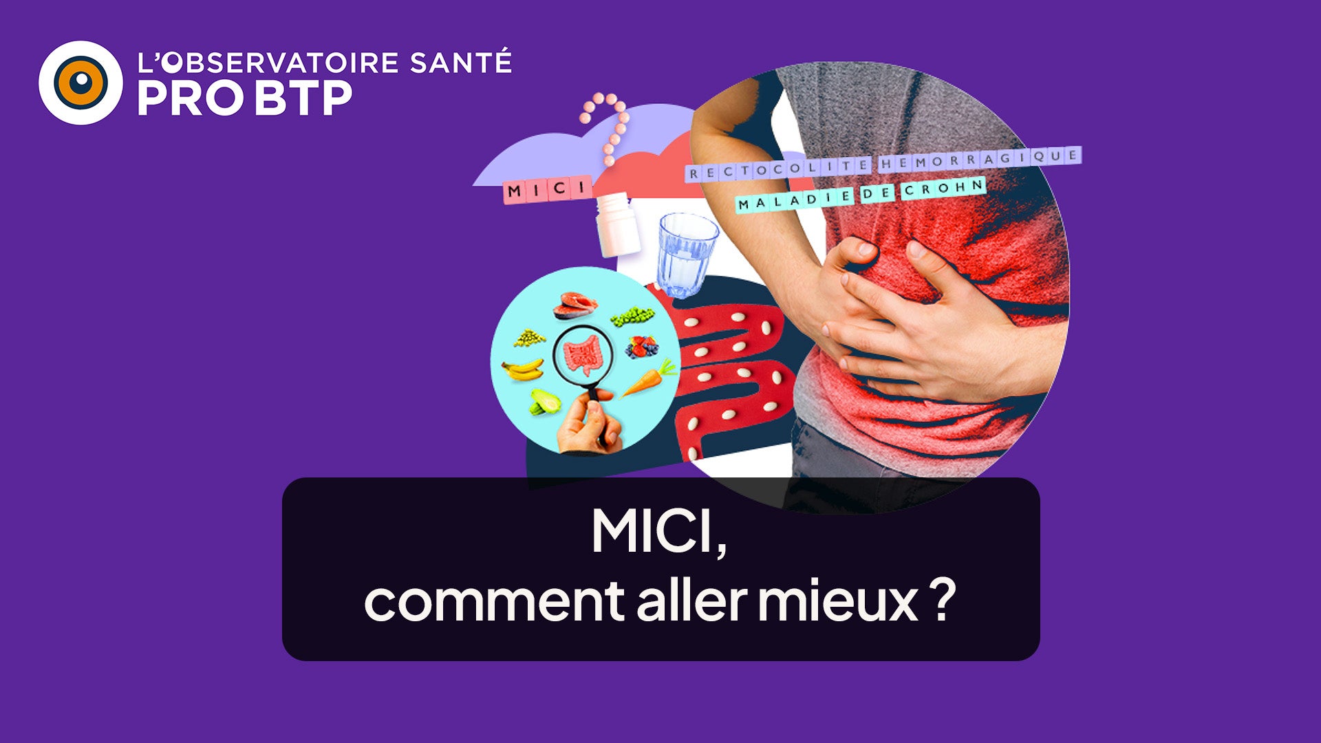 ProgramLink - vignette - 10390
