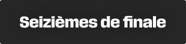 Coupe du Monde - 16ème de finale
