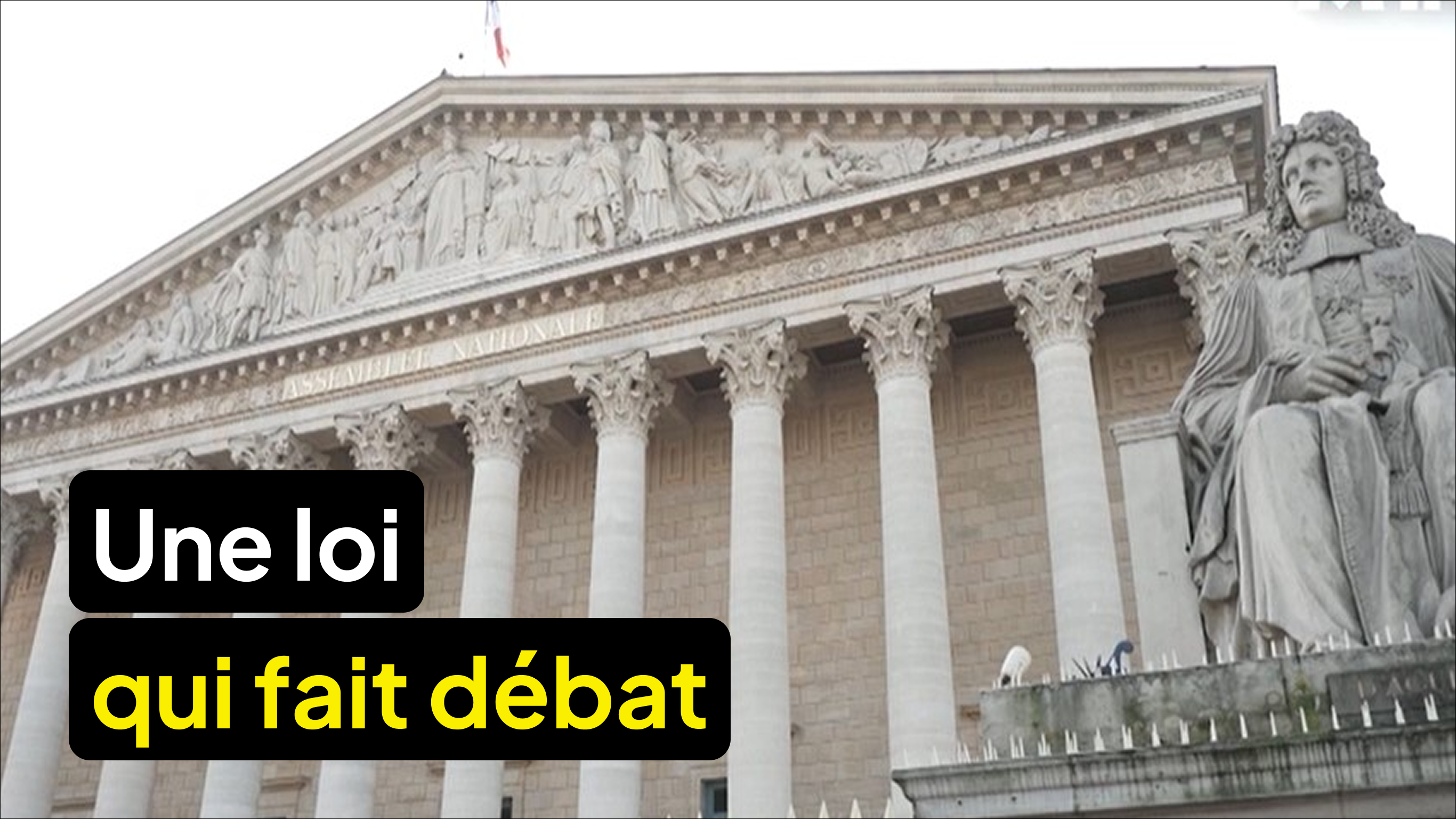 L'adoption de la loi sur la présomption d'usage légitime des armes pour les forces de l'ordre fait débat