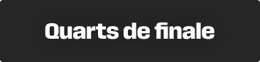 Coupe du Monde - Quart de finale