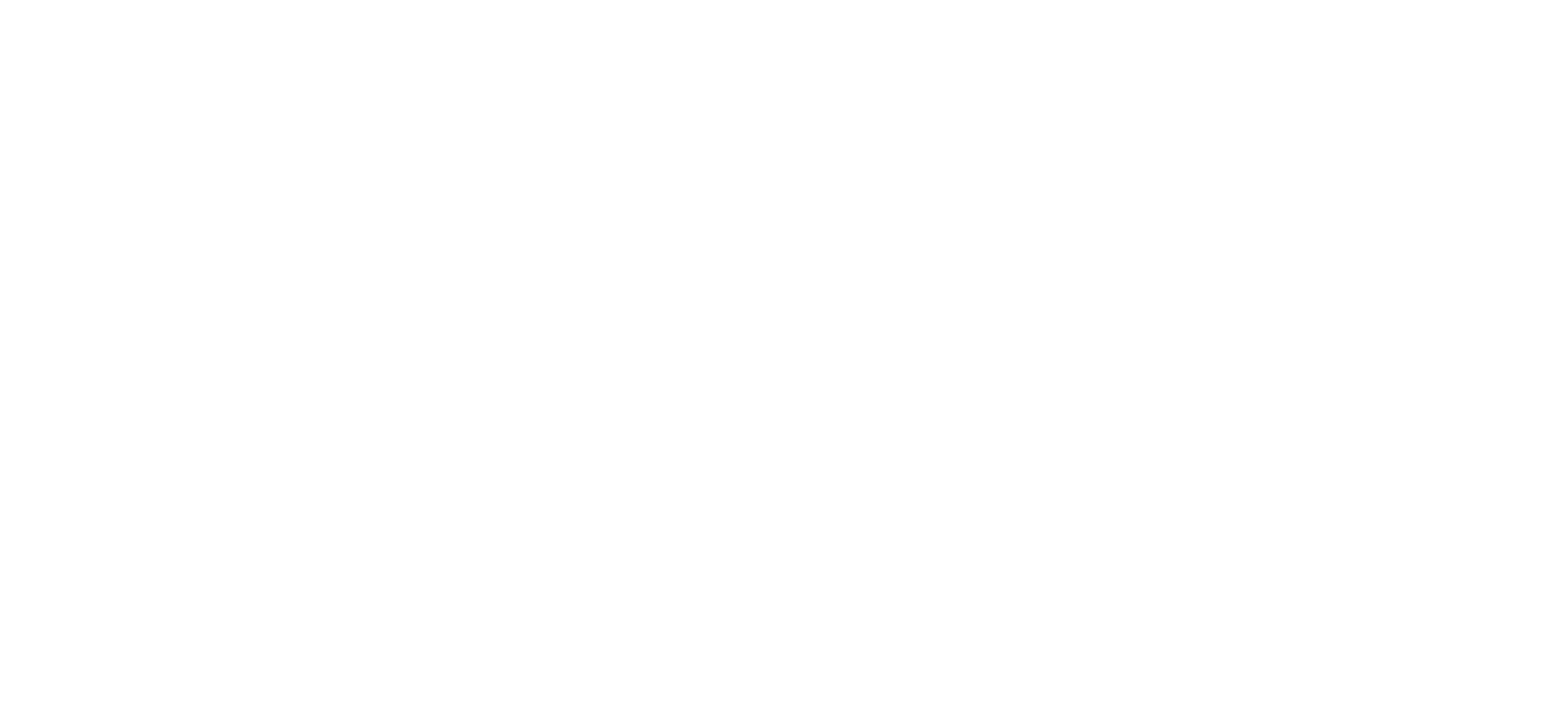 Les souliers de Noëlle