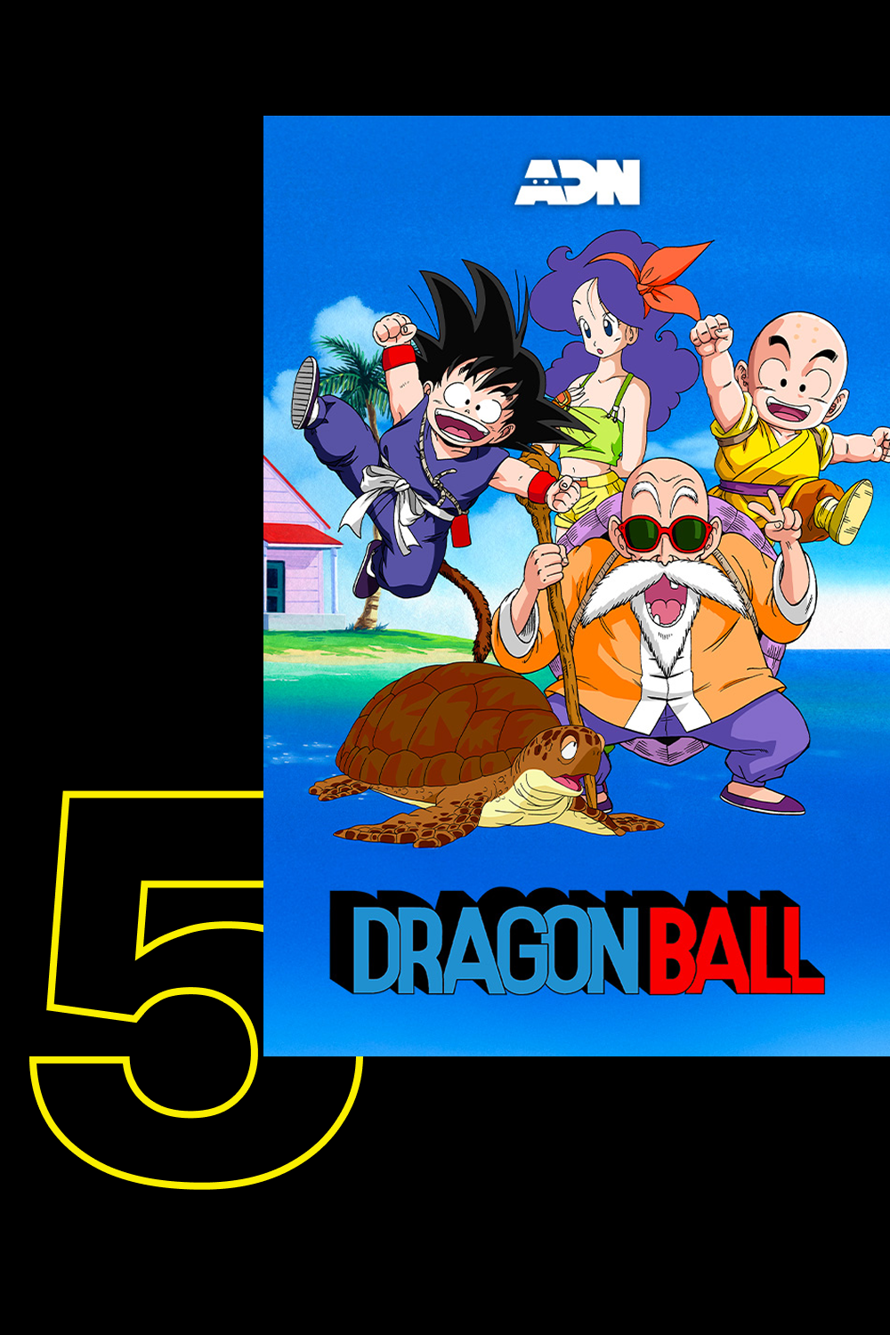Top 5 - ADN