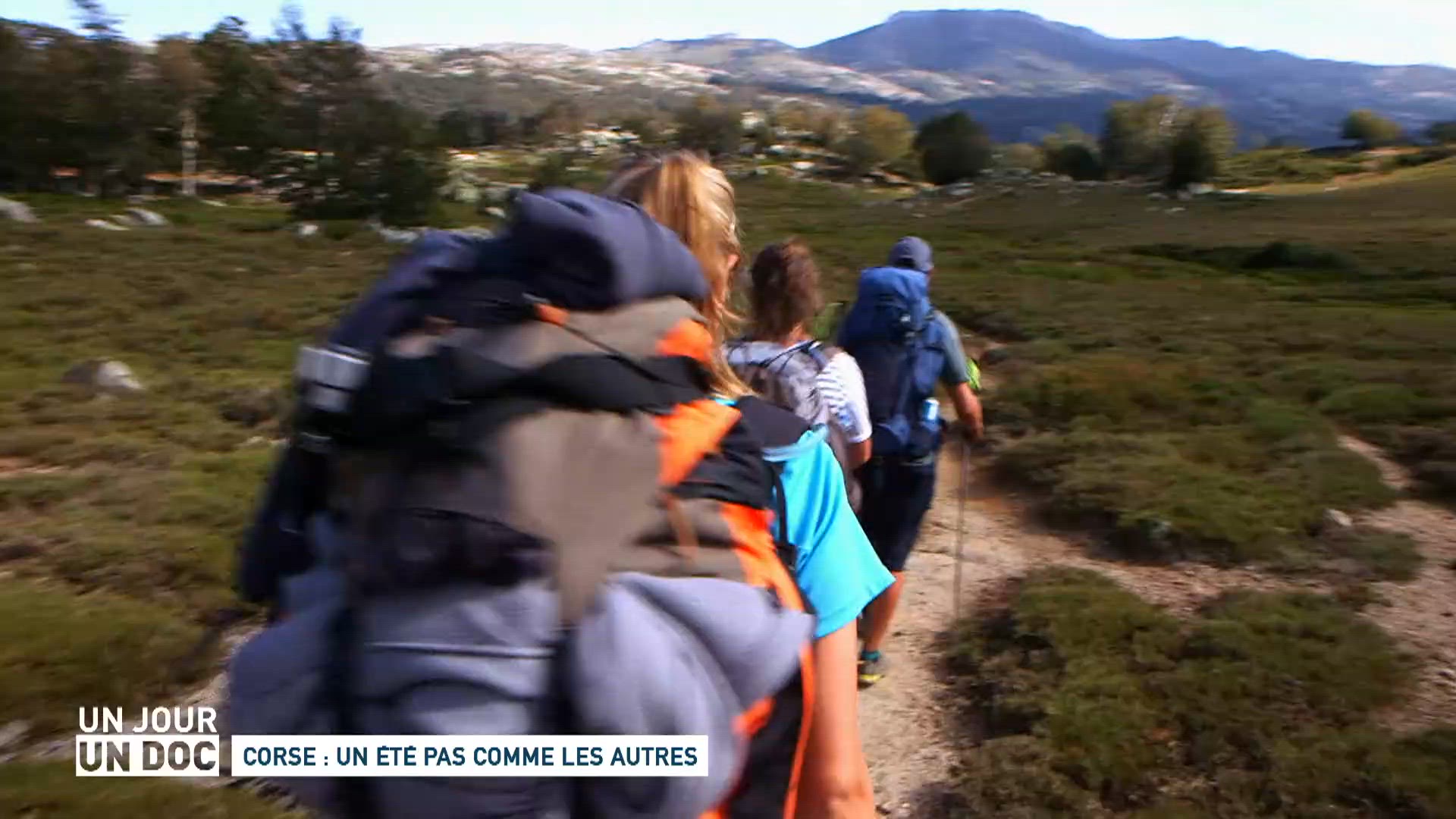 Corse : un été pas comme les autres (1/2)