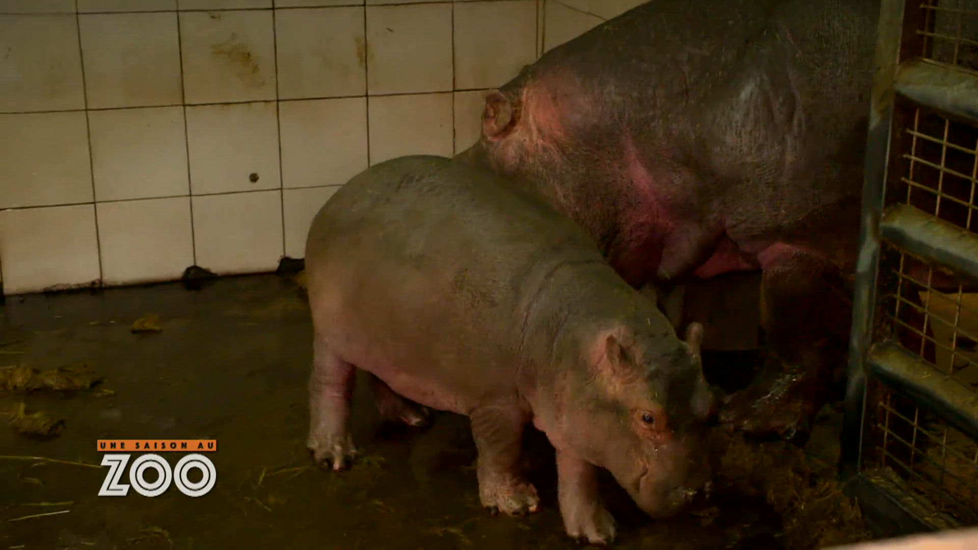S10 E9