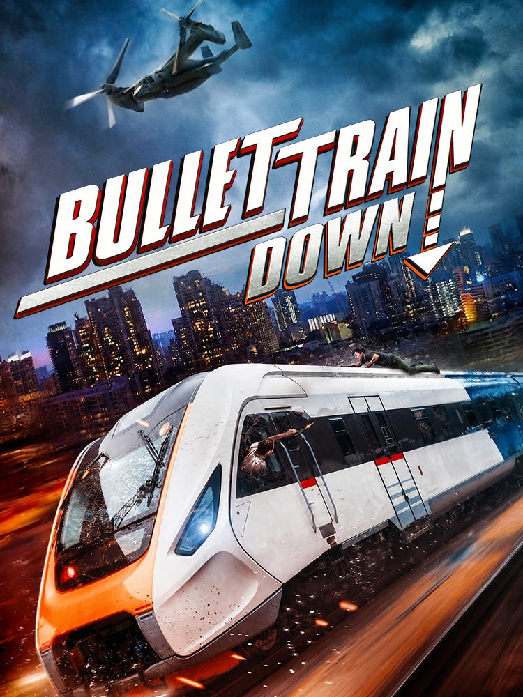Bullet train down