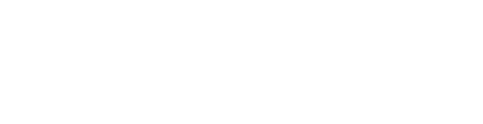 The experiment