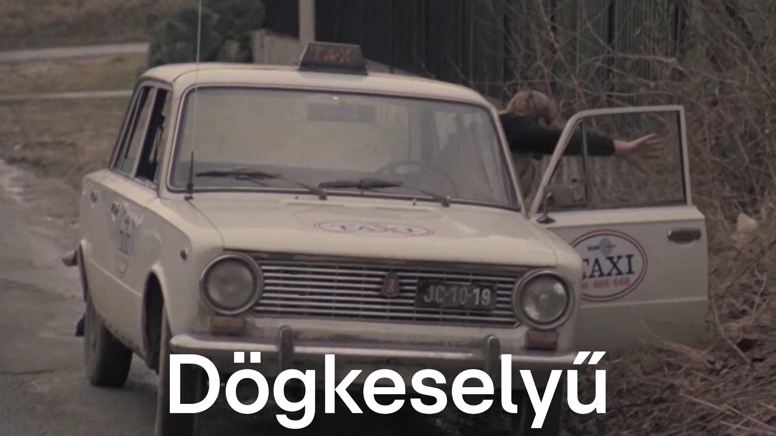 Amikor egy kiskutya pörgeti a taxiórát | Részlet