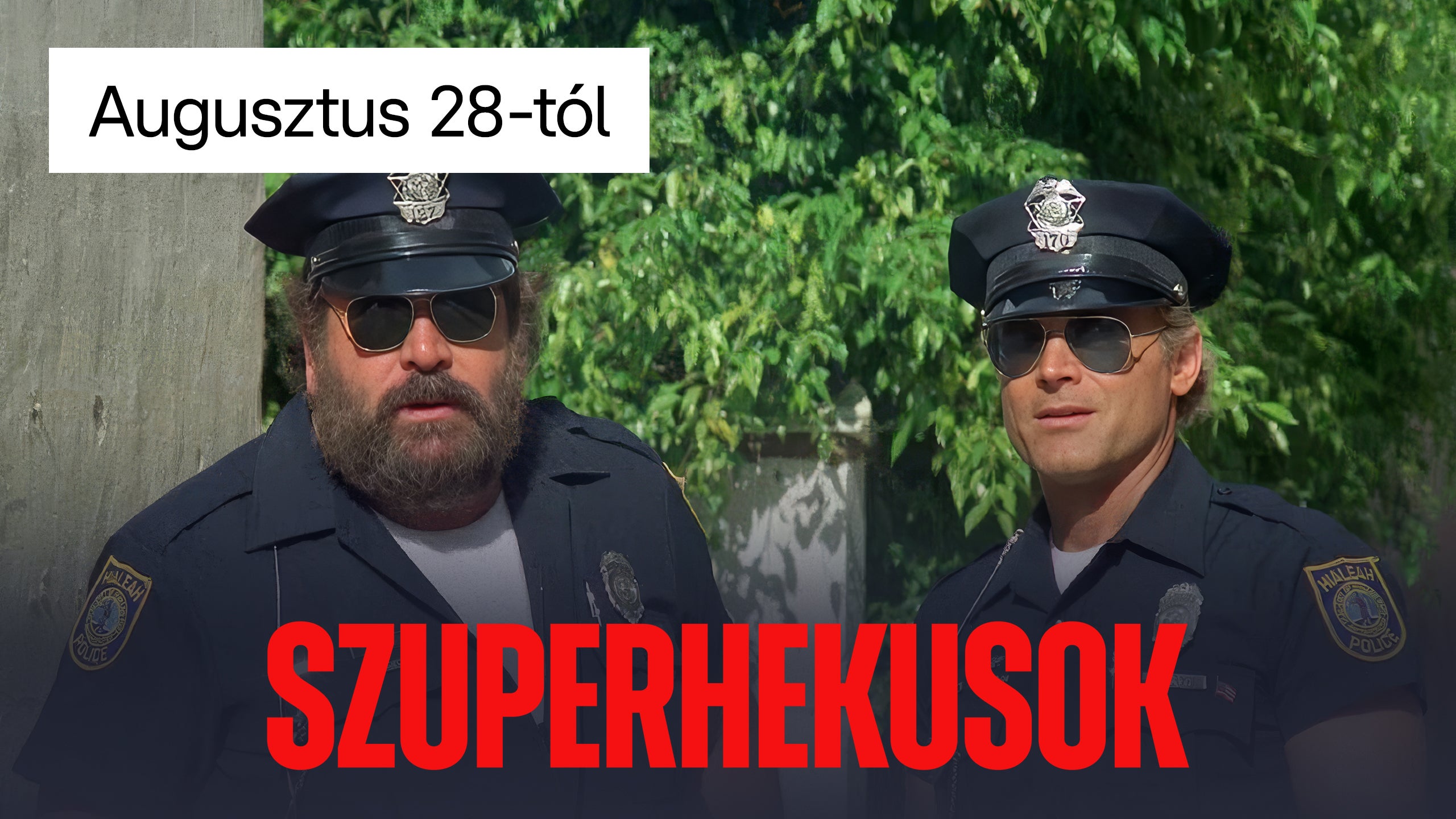 Előzetes