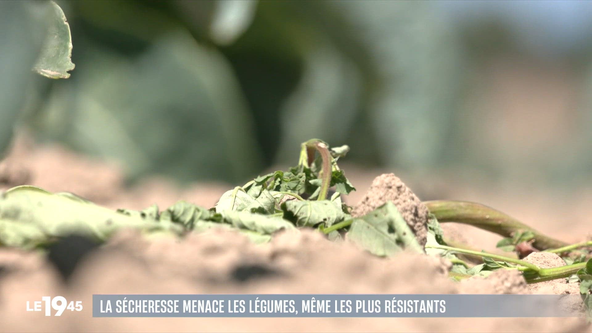 Le JT du 07/08/2026