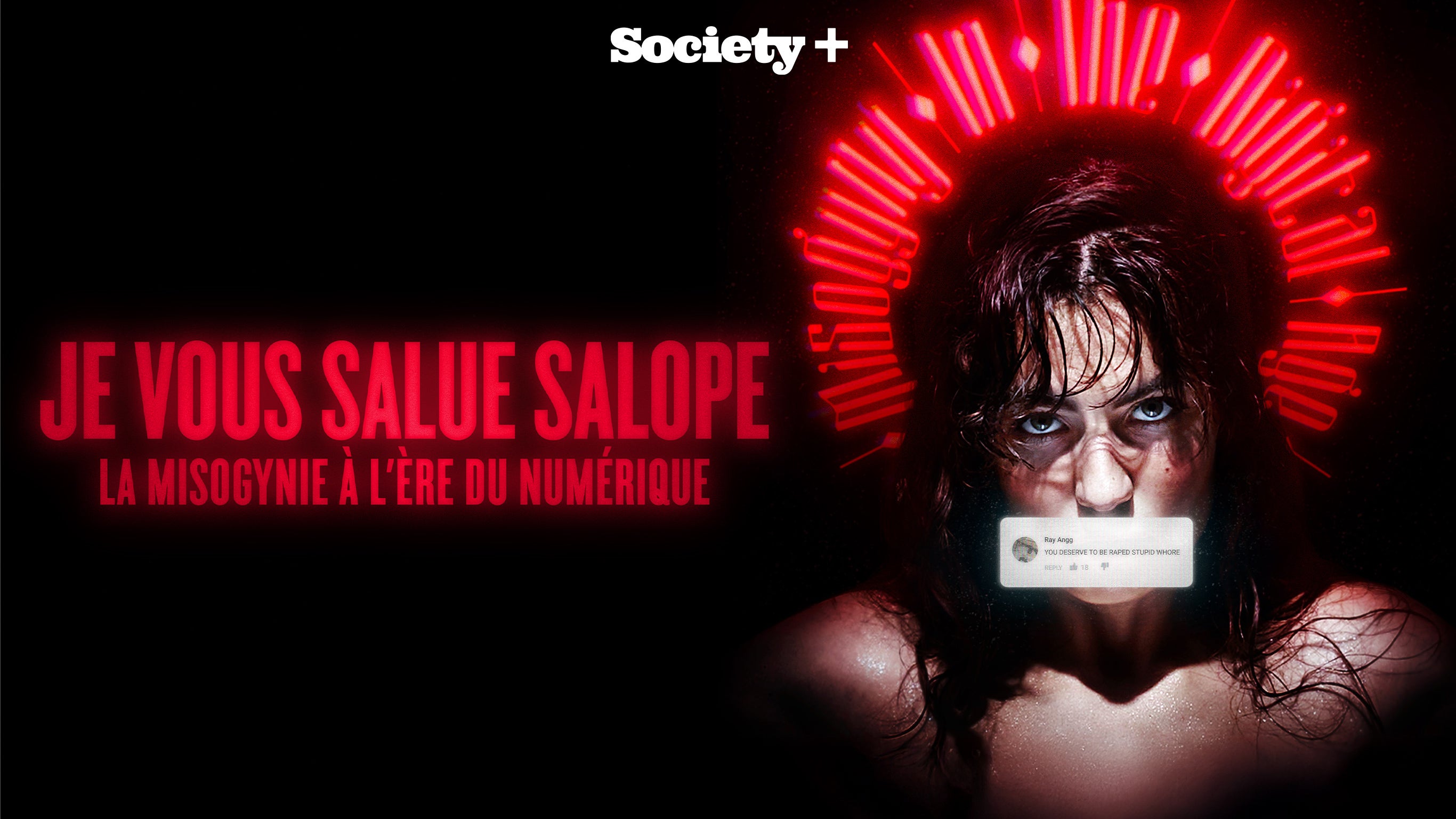 Je vous salue salope : la misogynie au temps du numérique