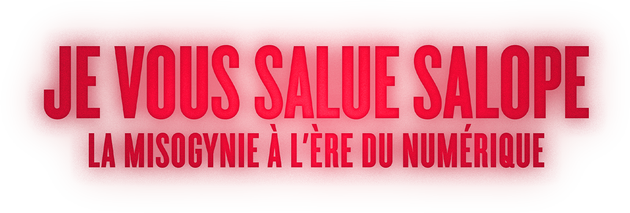 Je vous salue salope : la misogynie au temps du numérique