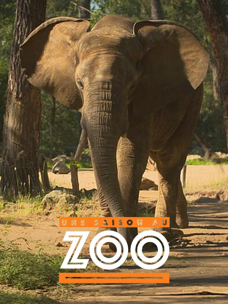 Une saison au zoo