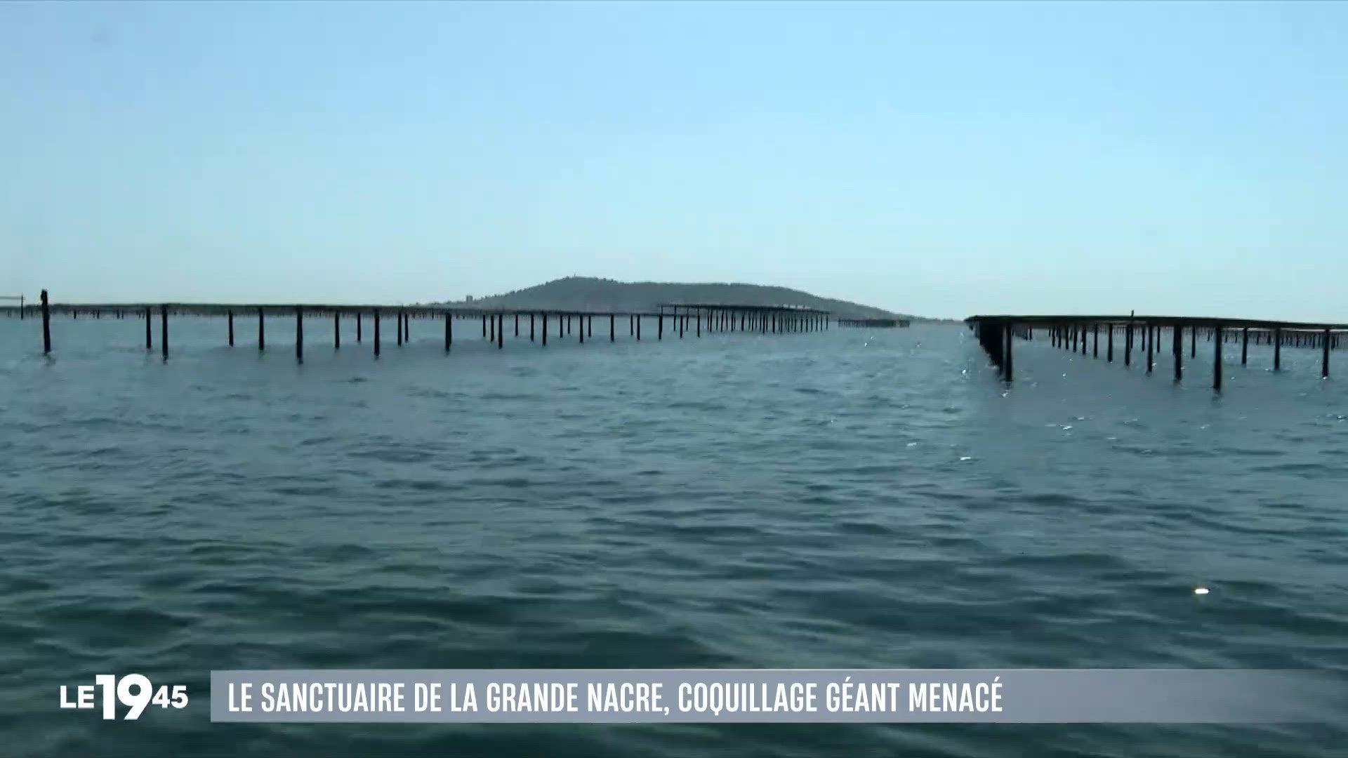 Le JT du 13/08/2026