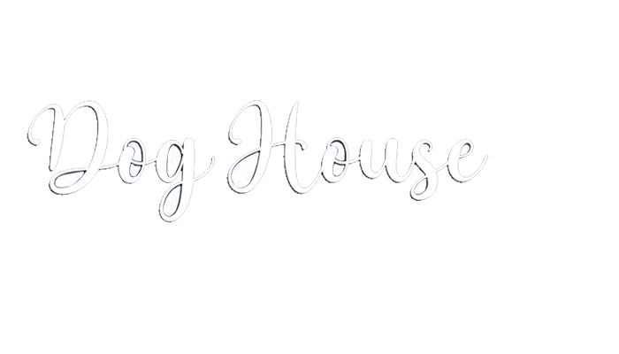 Dog house : un chien pour la vie