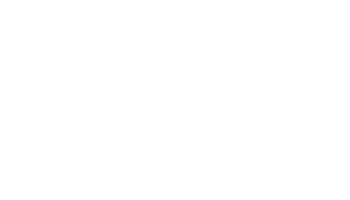 The Middle