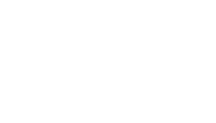 Brice 3