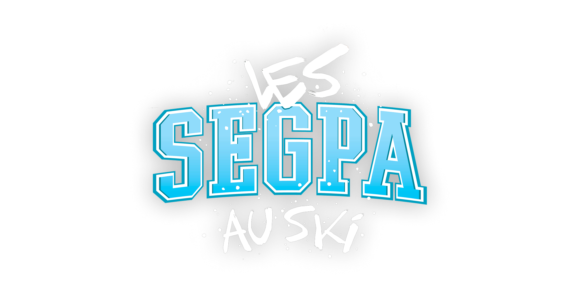 Les Segpa au ski