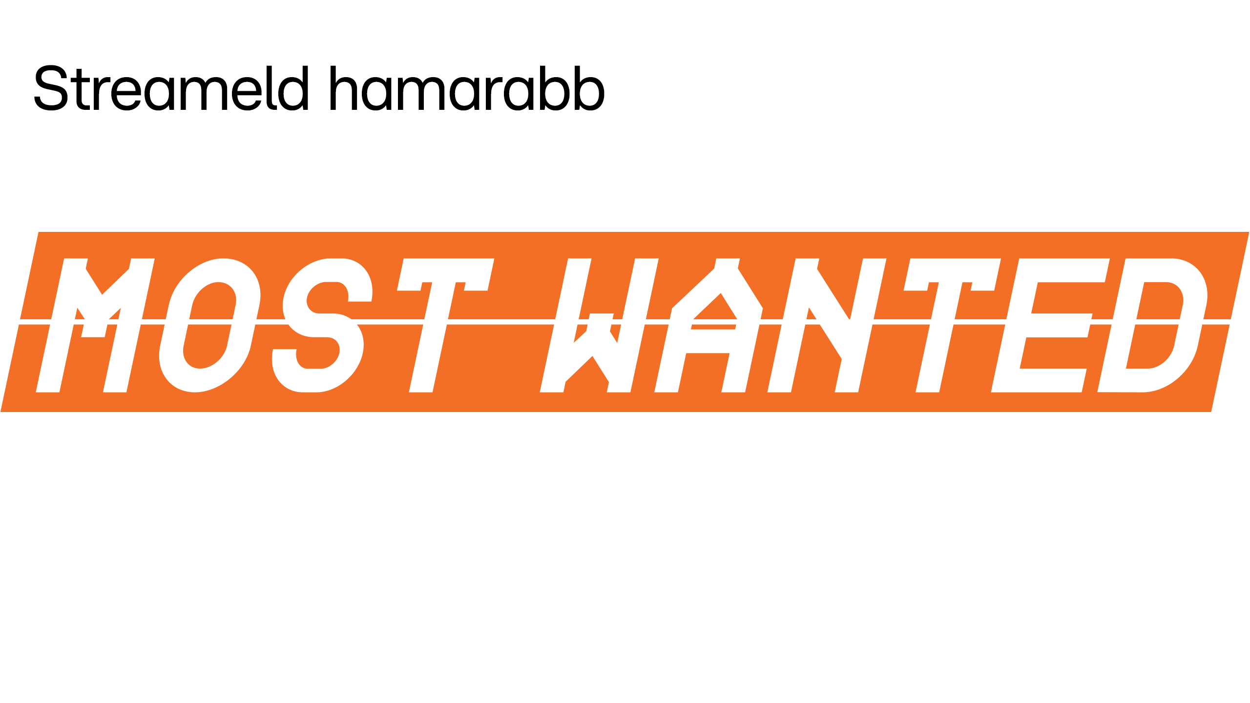 Most Wanted - A hajsza