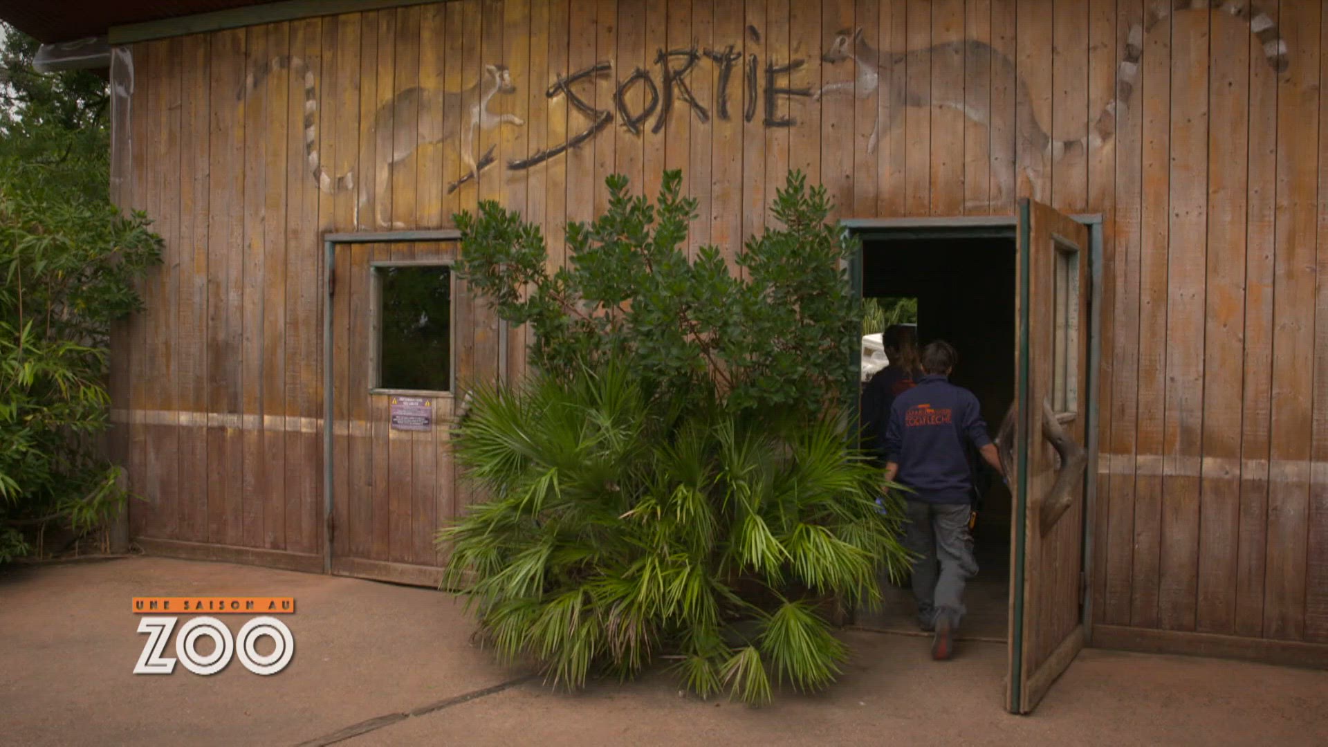 S11 E53