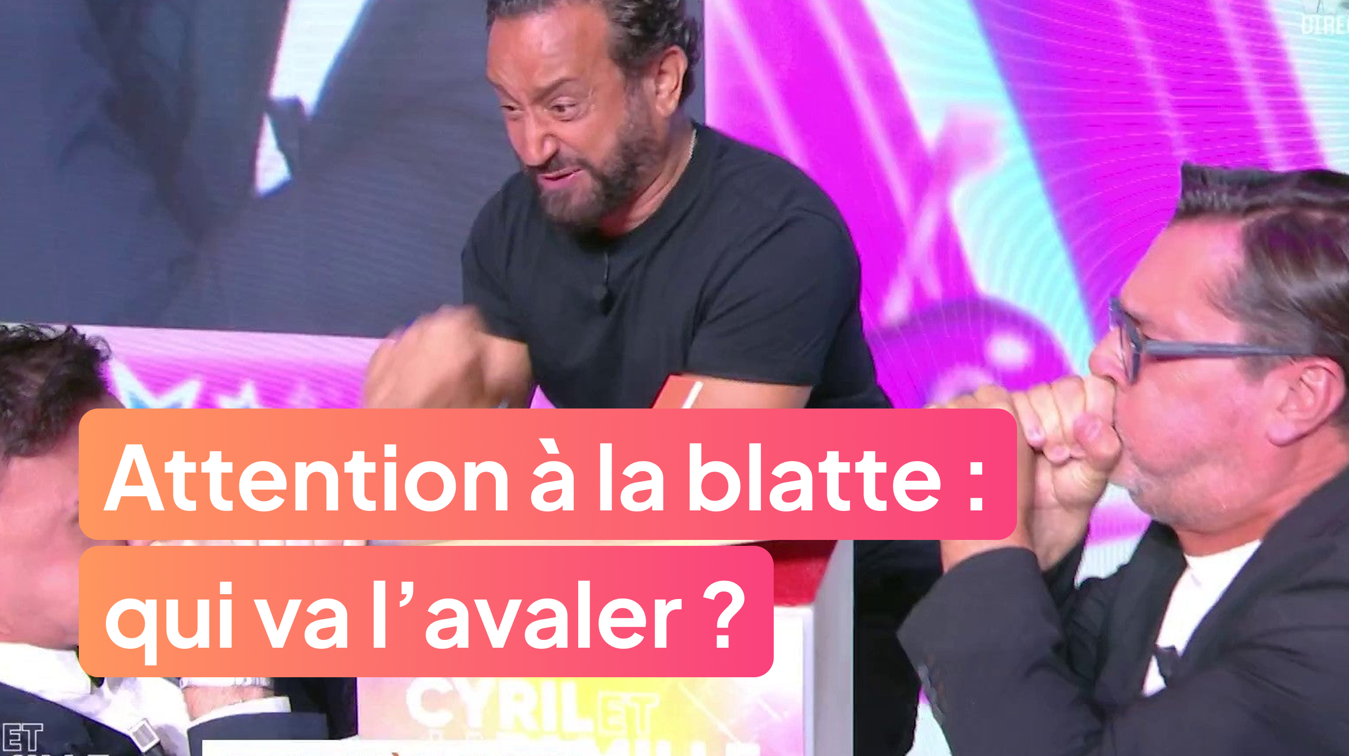Attention à la blatte : quel chroniqueur va l’avaler ?