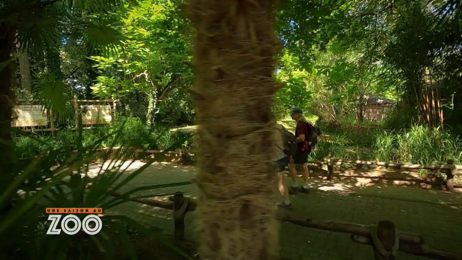 S12 E25