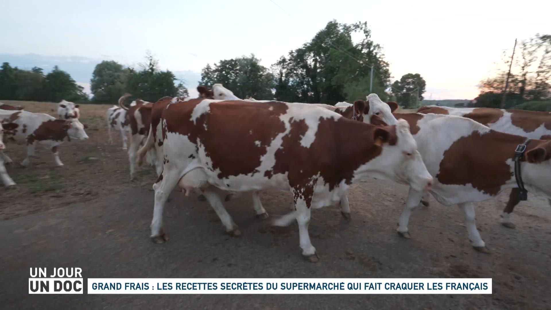 Grand Frais : les recettes secrètes du supermarché qui fait craquer les Français (2/2)