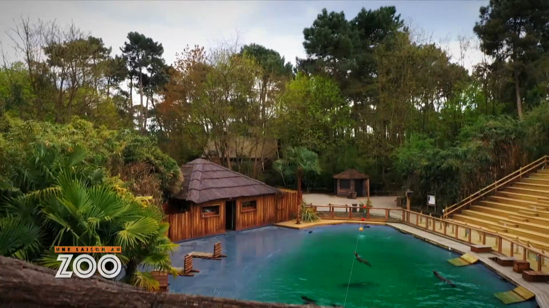 S13 E9