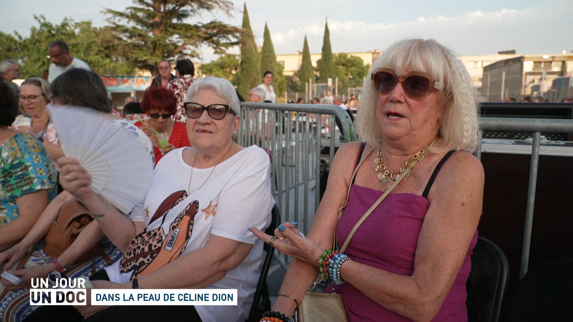 Dans la peau de Céline Dion / Passions inavouables