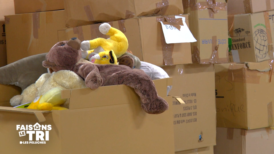 Faisons le tri : les peluches