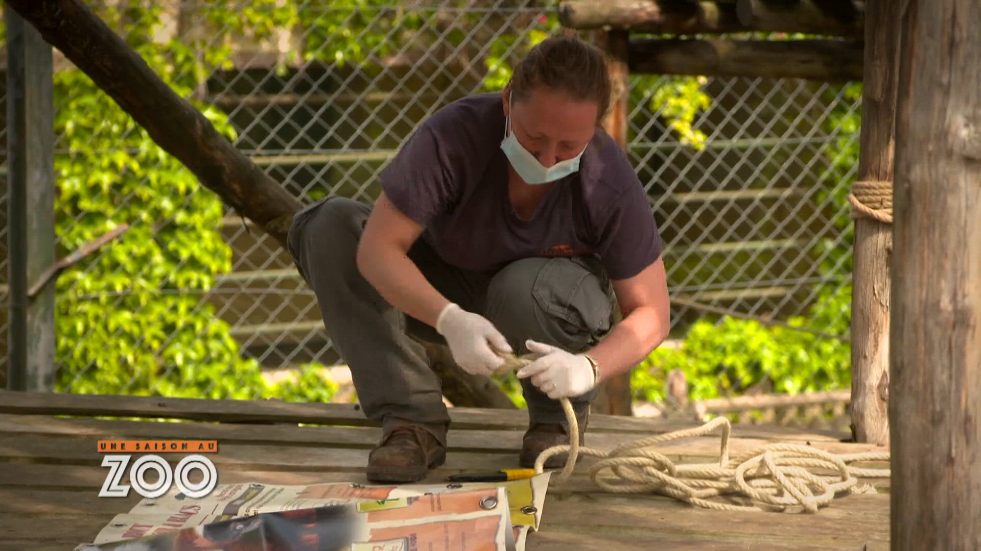 S13 E49