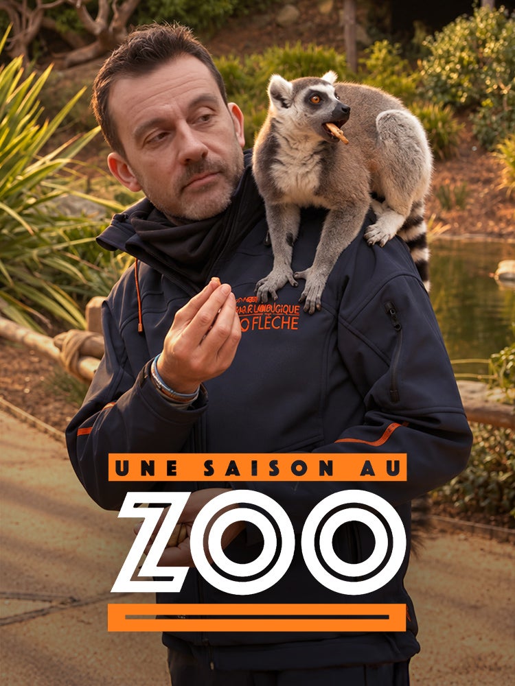 Une saison au zoo