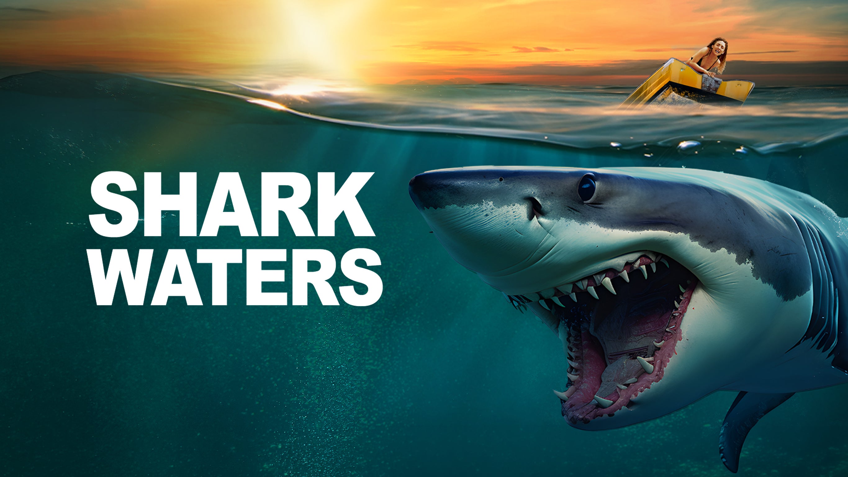 Shark waters