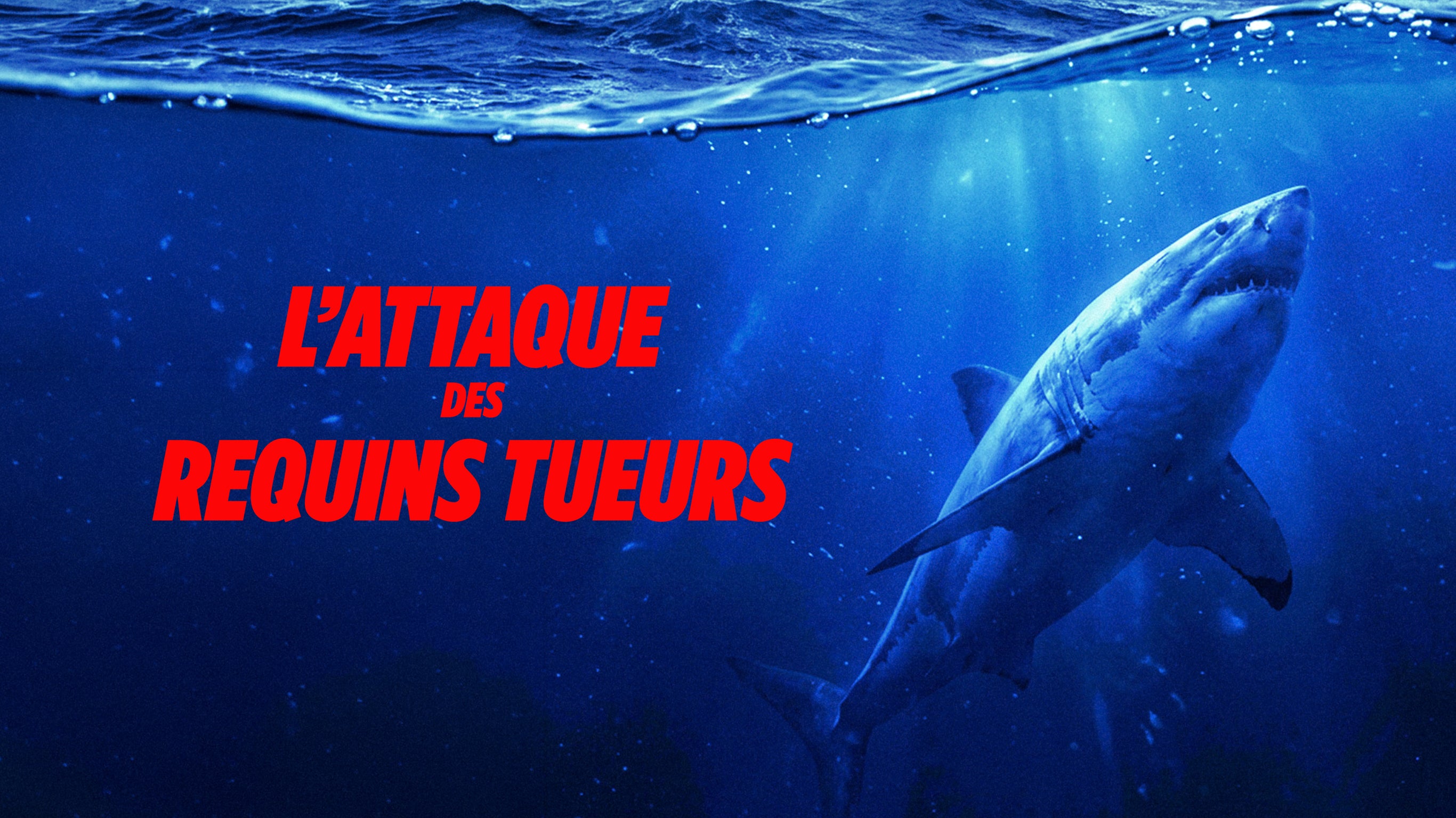 L'attaque des requins tueurs